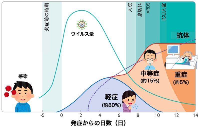 新型コロナウイルス感染症の経過（BMJ 2020;371:m3862より イラストと頻度は筆者加筆）