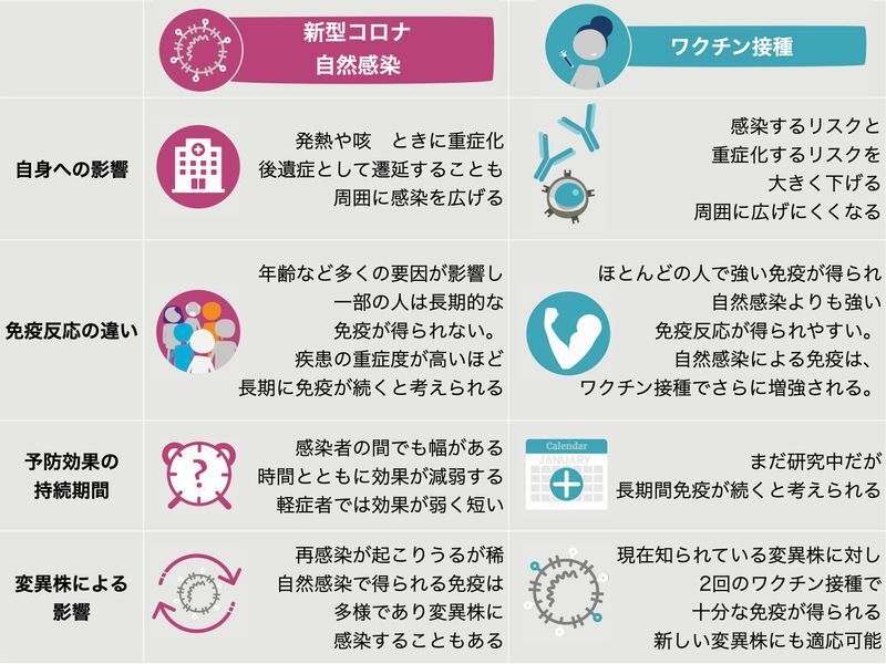自然感染とワクチン接種による免疫の違い(英国免疫学会、UK-CIC資料より 引用元URLは記事末尾に記載)