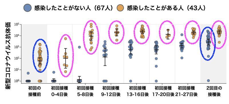 感染したことがない人とある人のmRNAワクチン1回接種後の抗体価の推移(DOI: 10.1056/NEJMc2101667)