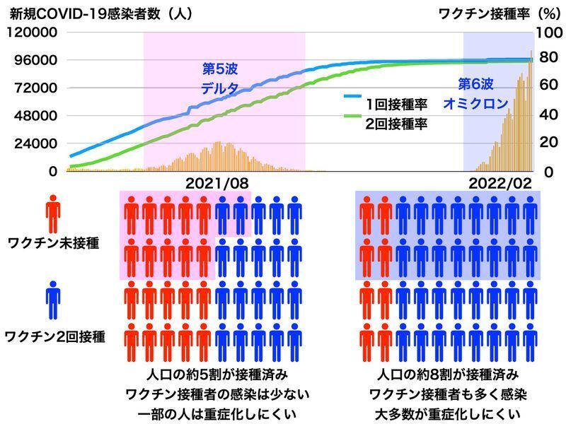 第5波(デルタ)と第6波(オミクロン)の特性の違い(DOI: 10.1056/NEJMp2119682を参考に筆者作成)