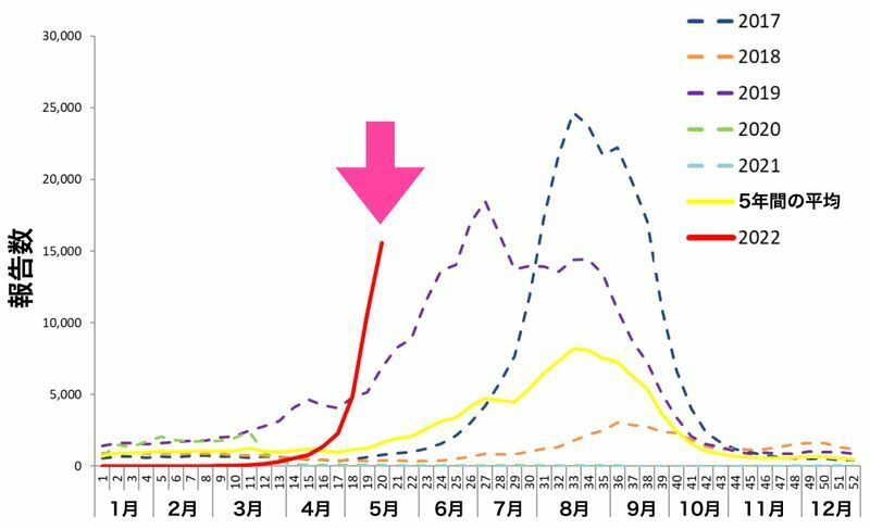 2017年から現在までのオーストラリアにおけるインフルエンザ患者の報告数の推移（オーストラリア保健省のサーベイランスより）