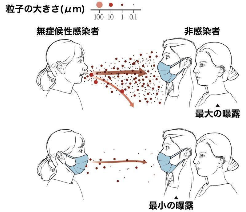 ユニバーサルマスキングによる感染リスクの低減（DOI: 10.1126/science.abc6197より）