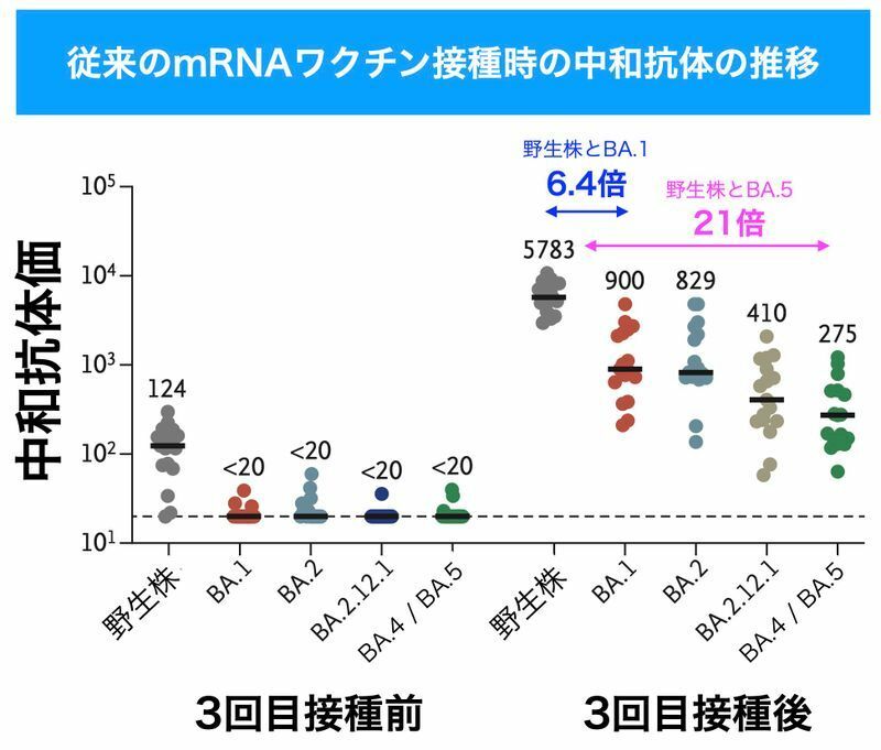 従来のmRNAワクチン接種時の中和抗体の推移（DOI: 10.1056/NEJMc2206576より）