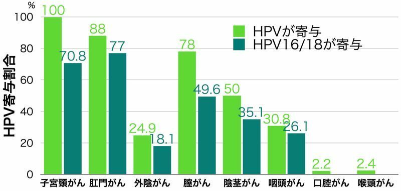 HPVと、HPV16/18がそれぞれのがんに寄与している割合（Int J Cancer. 2017 Aug 15;141(4):664-670.を元に筆者作成）