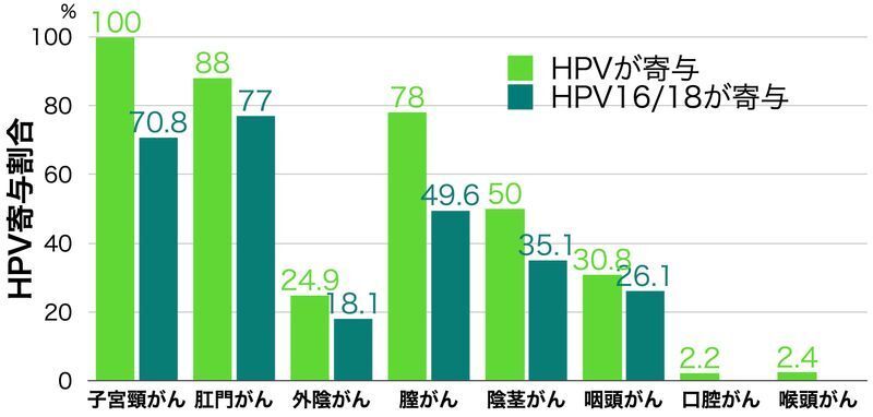 HPVと、HPV16/18がそれぞれのがんに寄与している割合(Int J Cancer. 2017 Aug 15;141(4):664-670.を元に筆者作成)