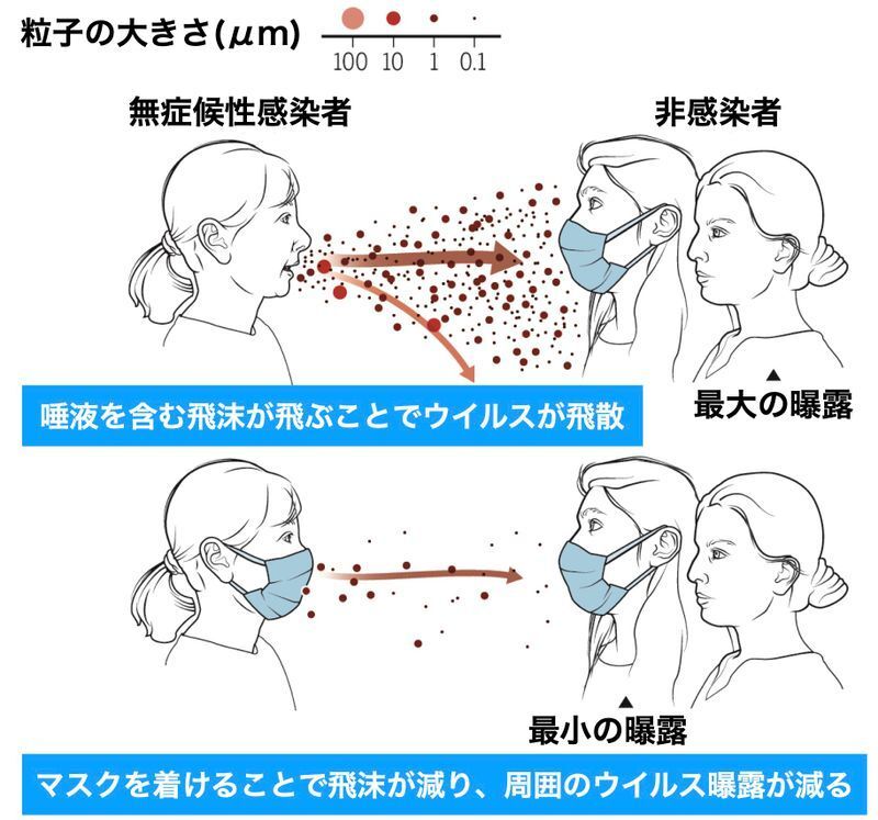 ユニバーサルマスキングによる感染リスクの低減（DOI: 10.1126/science.abc6197より）
