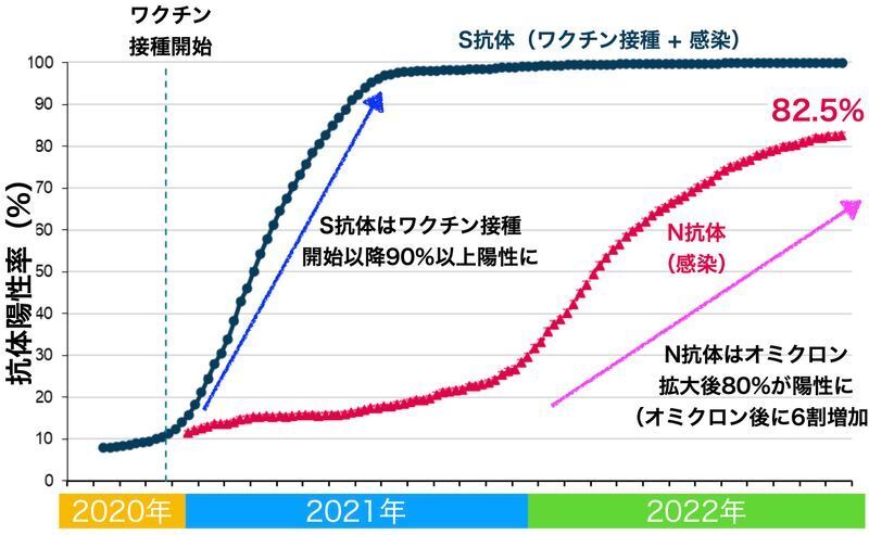 イギリスにおけるS抗体およびN抗体の推移（UKSHA. COVID-19 vaccine surveillance report Week 48 1 December 2022より筆者追記）