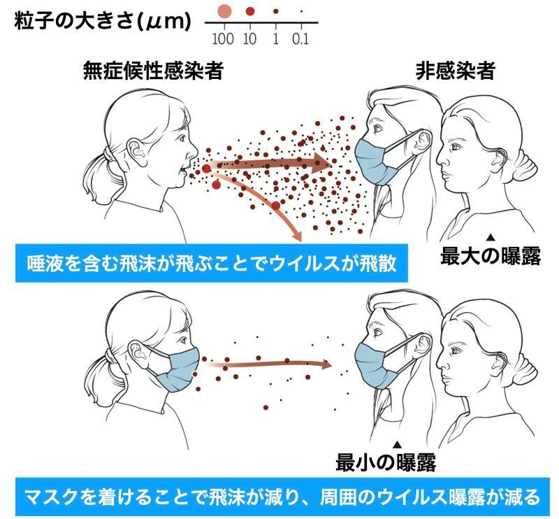 ユニバーサルマスキングによる感染リスクの低減(DOI: 10.1126/science.abc6197より筆者追記)