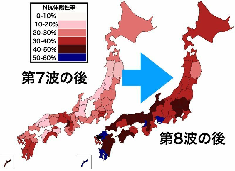 2022年11月および2023年2月時点での日本全国の献血者の都道府県毎のN抗体陽性率（第108回新型コロナウイルス感染症対策アドバイザリーボードおよび第73回厚生科学審議会感染症部会を元に筆者作成）