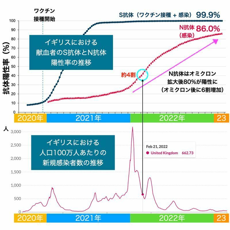 イギリスにおけるS抗体およびN抗体の推移（UKSHA. COVID-19 vaccine surveillance report 2 March 2023より）および人口あたりの新規感染者数