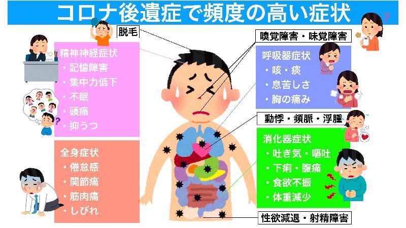 新型コロナ後遺症で頻度の高い症状（筆者作成）