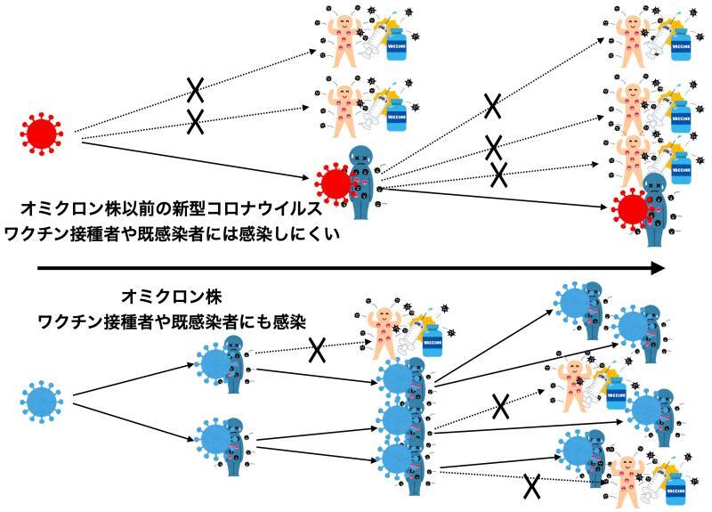 オミクロン株以前の新型コロナウイルスとオミクロン株の感染の広がりやすさの違い（筆者作成）