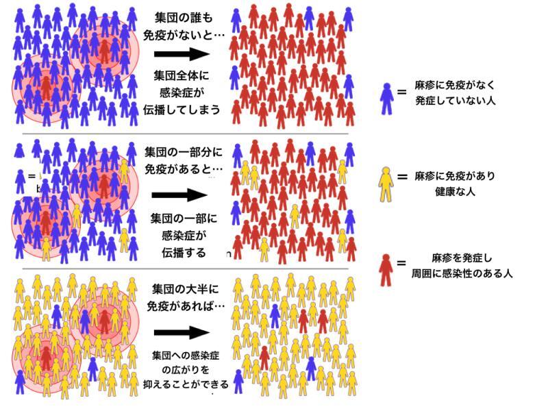 集団免疫の効果 Wikipediaの画像を筆者翻訳