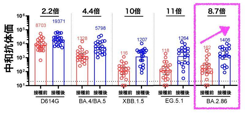 オミクロン株XBB.1.5系統対応ワクチン接種後の種々の変異株に対する中和抗体価の推移（doi: https://doi.org/10.1101/2023.08.22.23293434より筆者作成）