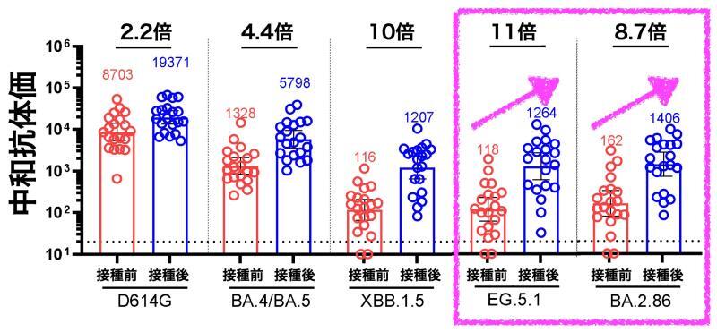 種々の変異株に対するXBB.1.5対応ワクチン接種前後の中和抗体価の推移（doi: https://doi.org/10.1101/2023.08.22.23293434より筆者作成）