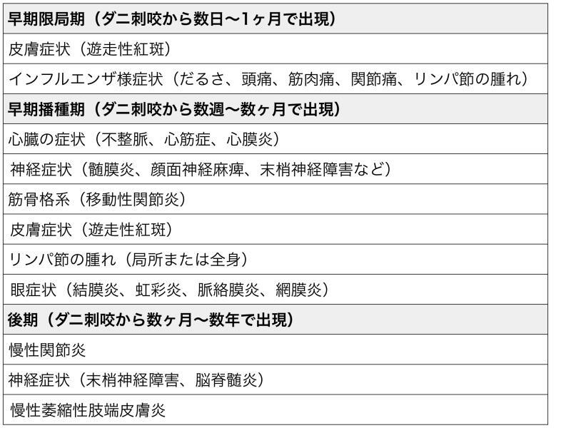 ライム病の症状　初期〜後期（UpToDate. Clinical manifestations of Lyme disease in adultsを元に筆者作成）