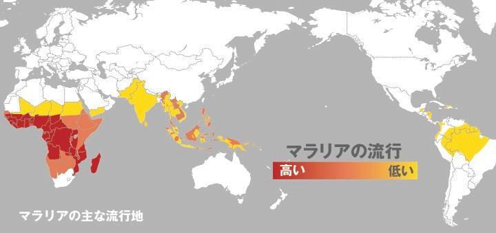 マラリアの流行地域（マラリア 診断・治療・予防の手引きより）