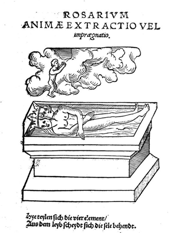 『哲学者たちの薔薇園』第七図版(Rosarium Philosophorum, Frankfurt, 1550より)