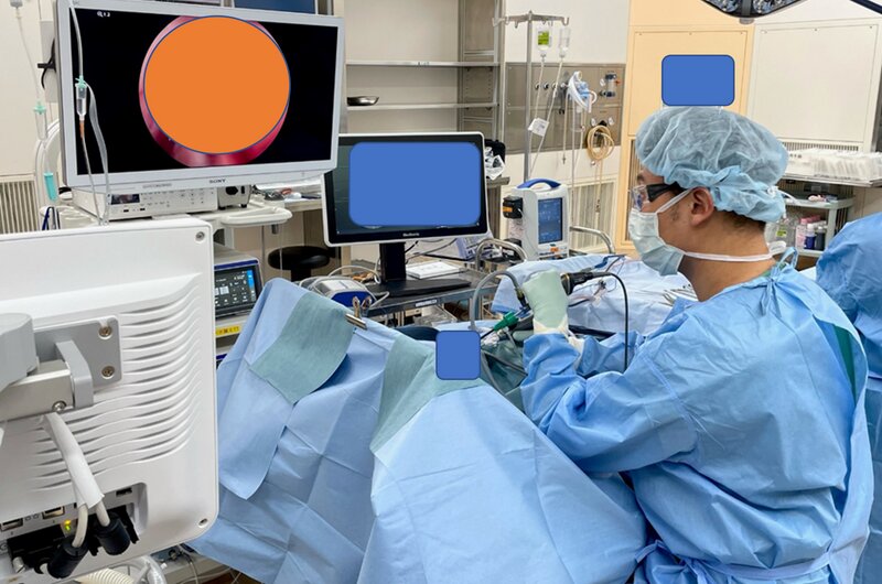 図３　筆者の手術の様子　内視鏡を用いて、画面を見ながら手術している。中央に見えるのがナビゲーションシステム。