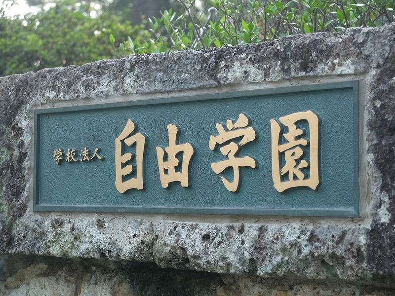 森のなかにあるような学校 撮影:筆者