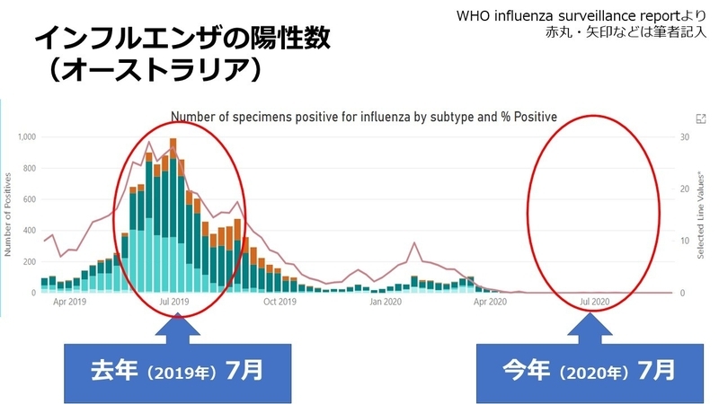 WHO Influenza surveillance reportより 赤丸・矢印などは筆者記入