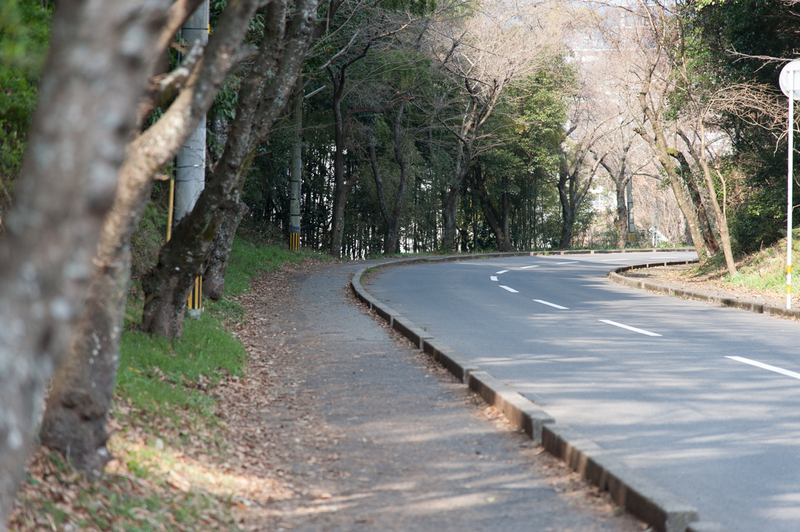 被告が通った小学校への道