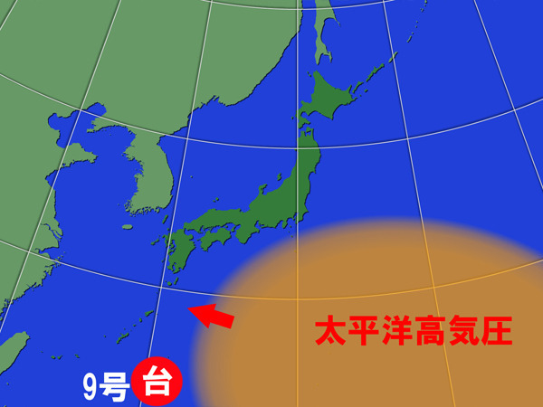 台風9号の接近時は、太平洋高気圧がいったん西へ強まる。