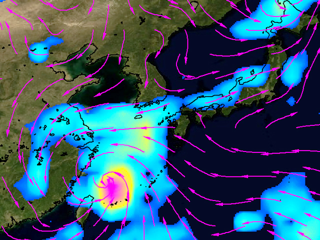17日（土）の雨と風（矢印）の予測。沖縄付近の渦が台風16号。