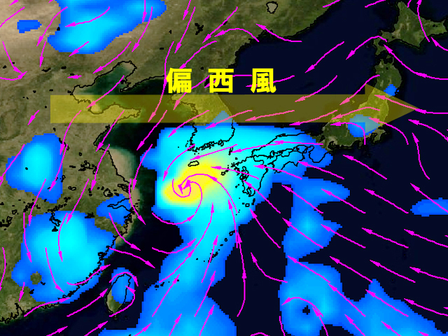 18日（日）の雨と風（矢印）の予測。東シナ海の渦が台風16号。