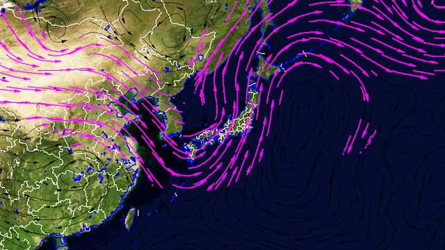 5日（水）の上空5000m付近の風の流れ。ピンクの矢印が強い風を表す。台風はこの風に流される。（気象解析支援システムAPLAより）