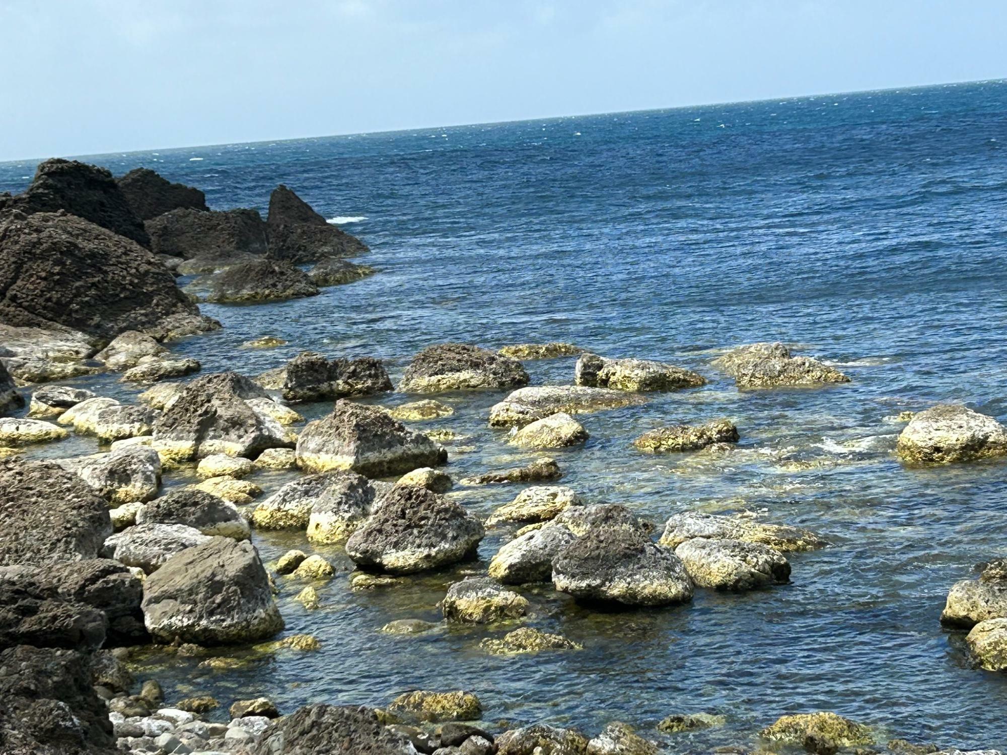 海岸線付近の様子。海底の岩が隆起し、白くなっている（写真：筆者撮影）