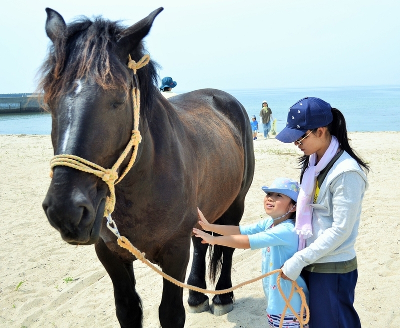 2018年5月のビーチクリーンでは、馬とのふれあい体験も行われた