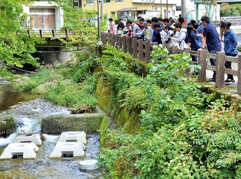 2019年9月に田羽根川に設置された人工巣穴（中央下の丸い人工物）