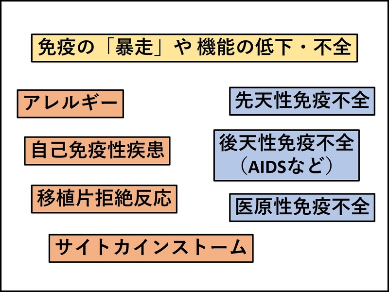 免疫力が強くなる言葉の法則: 世界で一番からだに優しい健康