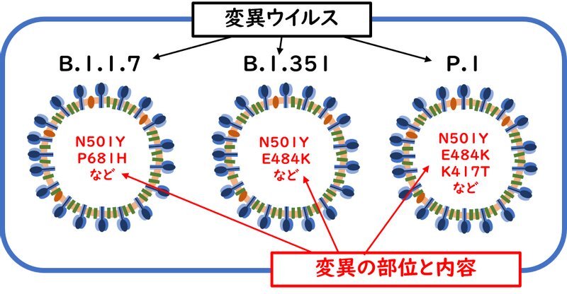 変異ウイルスというウイルスそのものと、変異の部位や内容はベツモノである