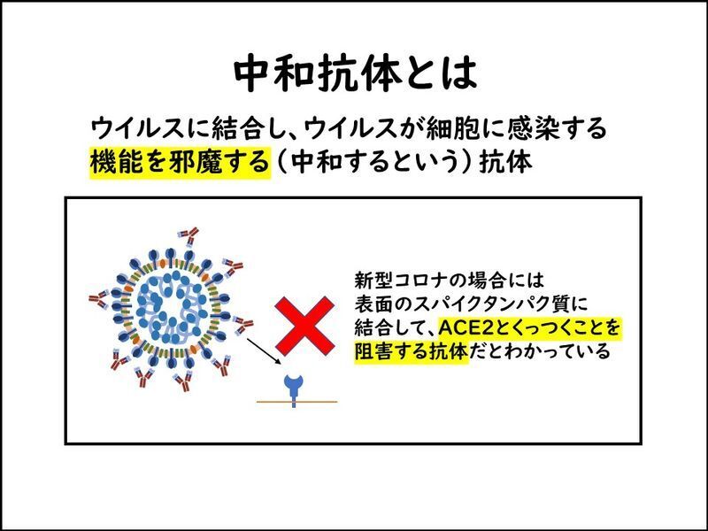 ワクチンの効果は中和抗体によって発揮される。この中和抗体がつきにくくなる変異があると、ワクチンが効きにくくということが起こり得る