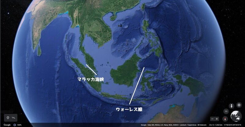 Google Earthをベースマップに「マラッカ海峡」と「ウォーレス線」を示した図（著者が作成）