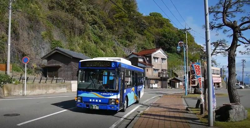 福井鉄道バス「かれい崎」バス停。「ローカル路線バス乗り継ぎの旅Z」にも登場した