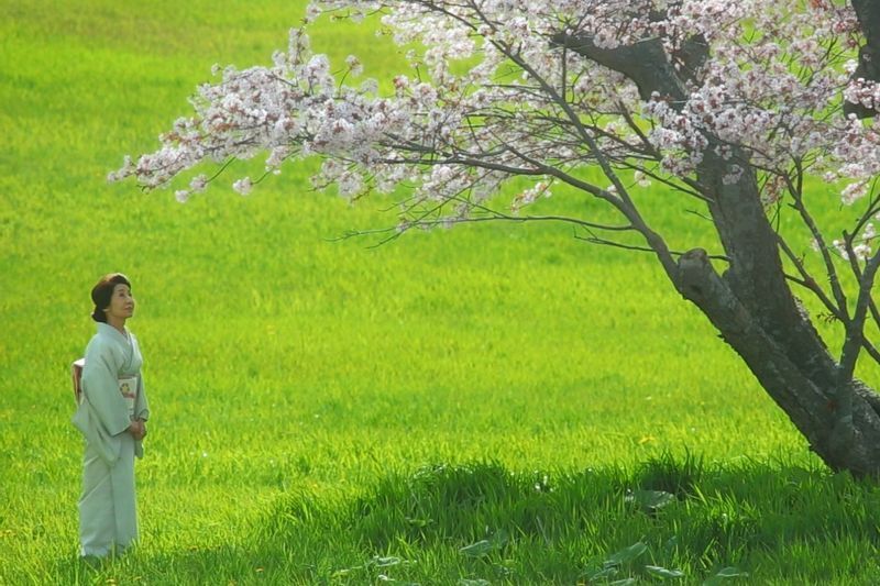 「モルエラニの霧の中」より