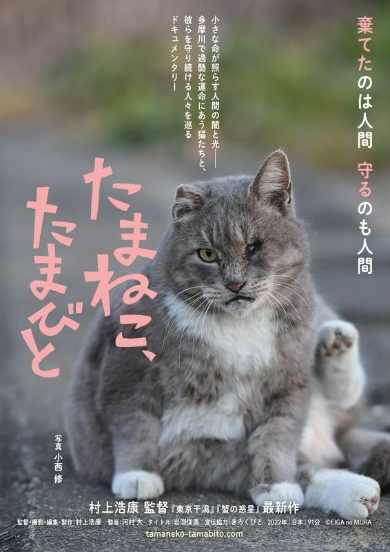 「たまねこ、たまびと」ポスタービジュアルより