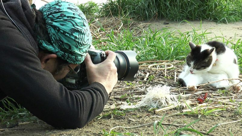 「たまねこ、たまびと」より