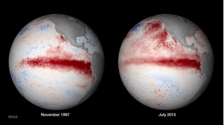 赤は高い海水温を示している。左）１９９７年。右）２０１５年。クレジット：NOAA