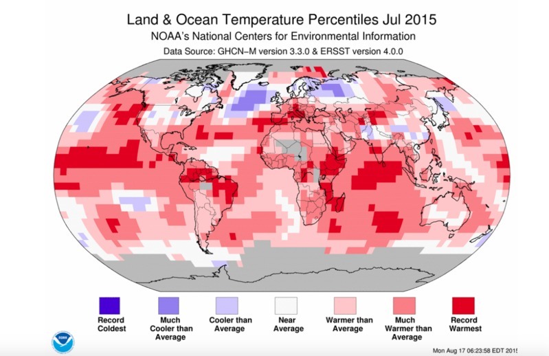 今年７月の平年との温度差。赤は平均よりも高温。クレジット：NOAA。