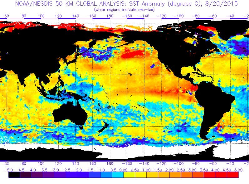 東部太平洋の海水温が高い。クレジット：NOAA