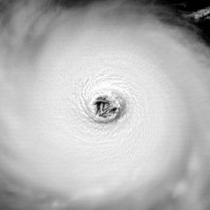 ハリケーンIsabel。NOAA