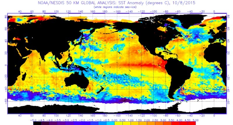 東部太平洋域の海水温が極めて高い状態にある (NOAA)