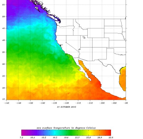 メキシコの西岸沖の海水温は平年より高く、30度以上ある。NOAA
