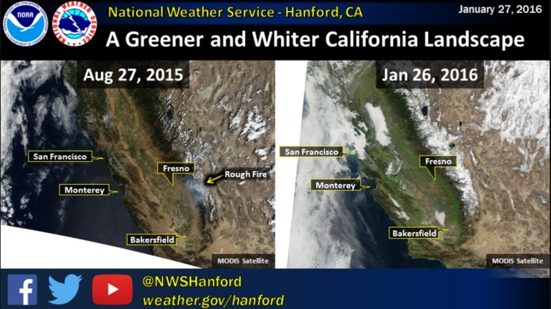 昨夏干ばつだった加州で緑が増えている。NWS-HanfordのTwitterより