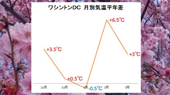 11月は月間平均気温と比べて3.5度、2月はなんと6.5度も高かった