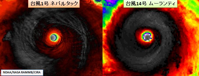 左：台風1号、右：台風14号の赤外画像。NOAA。